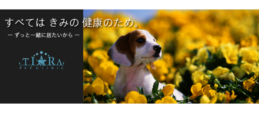 sign4.png
